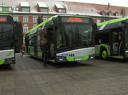 Autobusy hybrydowe w Pile - grafika