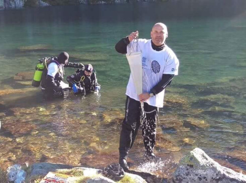 Glony Parvodinium marciniakii i Parvodinium trawinskii - grafika