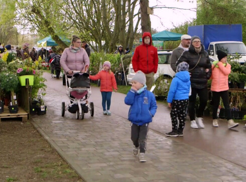 Ruszają Agrotargi - grafika