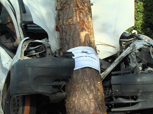 „Prędkość, brawura, alkohol i narkotyki zabijają”​ - grafika