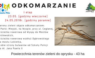 Miasto idzie na walkę z komarami