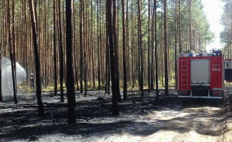 Pożar lasu pomiędzy Czarnkowem i Trzcianką