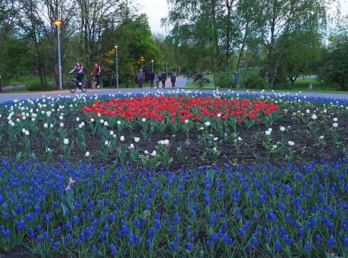 Jakie jeszcze atrakcje w majowe święto? - grafika