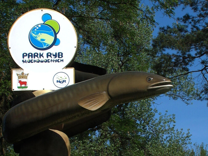 Nowe atrakcje nad jeziorem - grafika