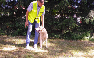 Pies od narkotyków już w służbie policji