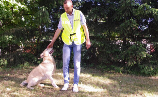 Pies od narkotyków już w służbie policji