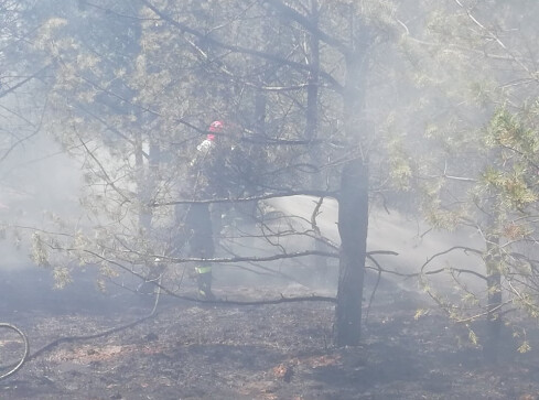 Pożar na pilskim lotnisku - grafika