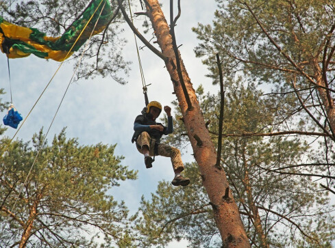 Spadochroniarz zawisł na drzewie - grafika