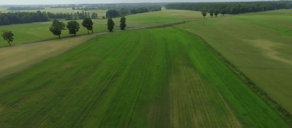 Na skraju powiatu pilskiego i złotowskiego [VIDEO-DRON]