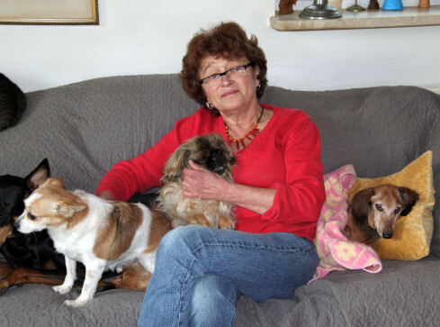 I łaciate, i kudłate pręgowane i skrzydlate... - grafika