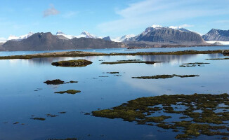 Wyprawa na Spitsbergen zakończona