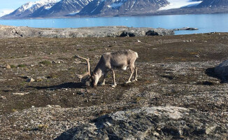 Wyprawa na Spitsbergen zakończona