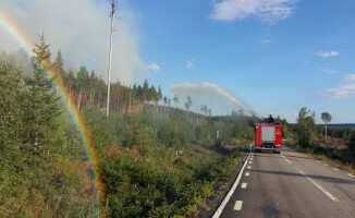 Strażacy z regionu walczą z pożarami w Szwecji [GALERIA]