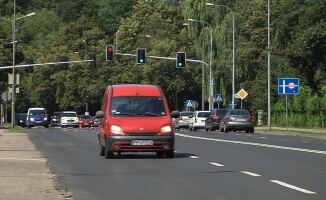 Gwiazda telewizji sadziła drzewa w Pile