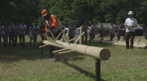 Rżnęli drewno na czas - grafika