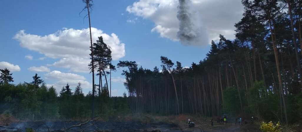 Dwa groźne pożary lasu w gminie Margonin