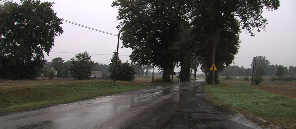 Wykopaliska w Mirosławcu