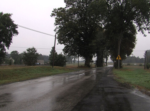 Wykopaliska w Mirosławcu - grafika