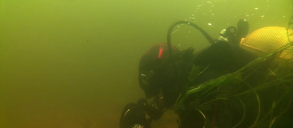 W Pile znaleziono fragmenty mostu z XVII wieku