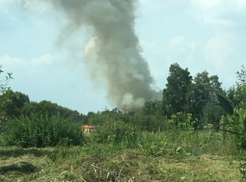 Pożar na działkach w Pile - grafika