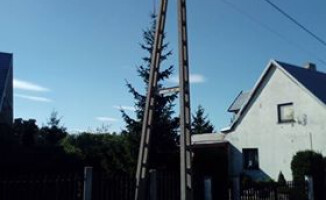 Straż i energetyka nie chcą pomóc ściągnąć kota