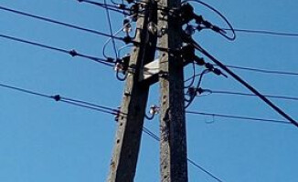 Straż i energetyka nie chcą pomóc ściągnąć kota