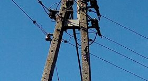 Straż i energetyka nie chcą pomóc ściągnąć kota - grafika