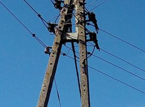 Straż i energetyka nie chcą pomóc ściągnąć kota - grafika