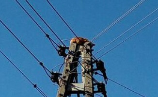 Straż i energetyka nie chcą pomóc ściągnąć kota