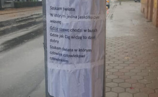 Odpowiedź na bałagan powyborczy?