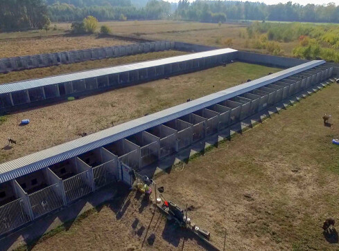 Schronisko dla zwierząt przejmuje Piła. To już pewne - grafika