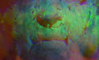 Rzeźba i hologram w pilskim BWA