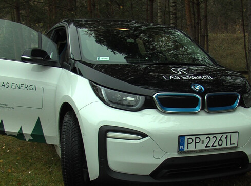 Lasy w Pile mają elektryczne auto - grafika