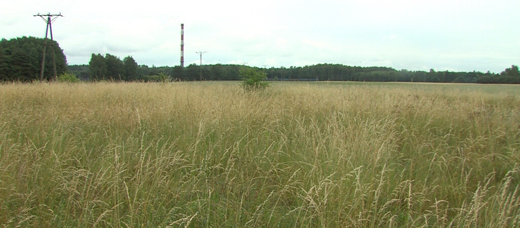 Powstanie fabryka asfaltu? Nowe wątki w sprawie