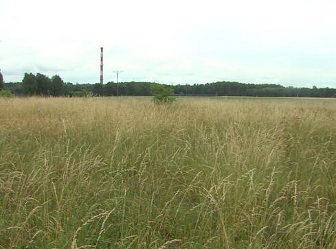 Powstanie fabryka asfaltu? Nowe wątki w sprawie - grafika