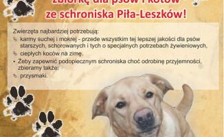 Zbiórka karmy i koców dla psów w schronisku