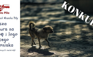 Konkurs na nazwę i logo Schroniska dla Zwierząt