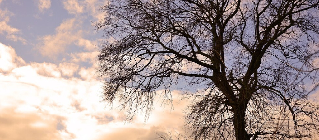 Nadchodzi fala mrozu