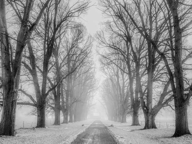 Niesprawdzona prognoza pogody? - grafika