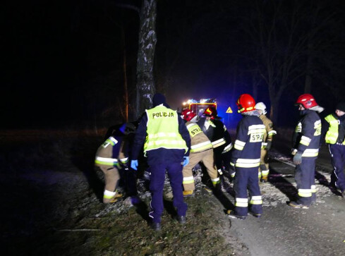 Zginął łoś. Kierowca fiata w szpitalu - grafika
