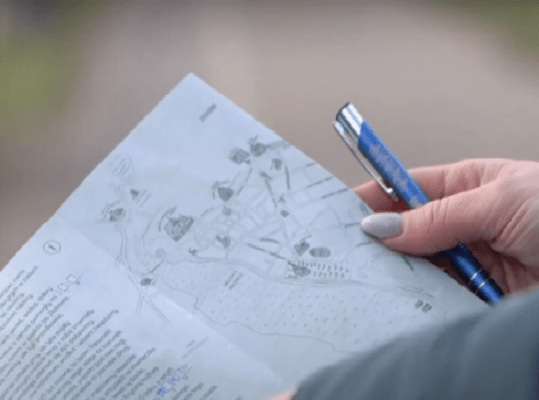 Questy coraz bardziej popularne - grafika