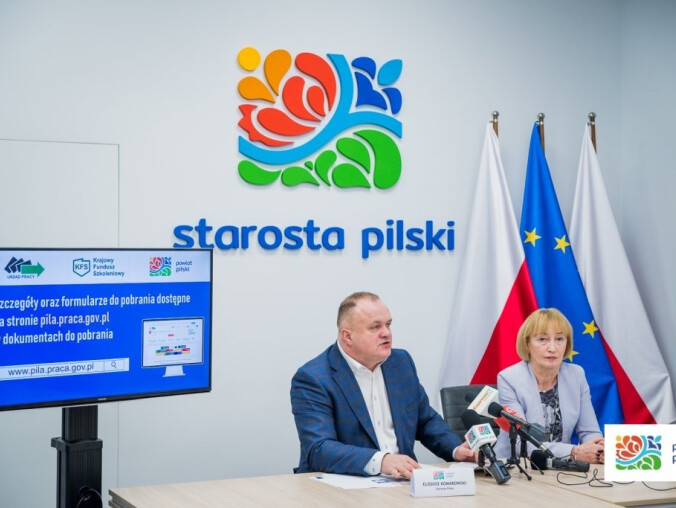 Informatyzacja szpitali i konsultacje społeczne - grafika