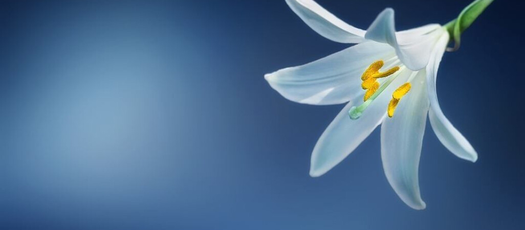 Magia lutowego Słońca