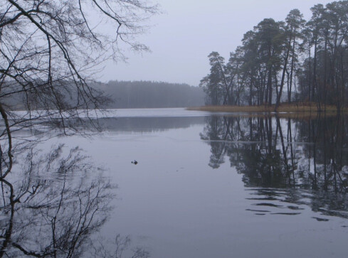 Zielone światło do powstania parku krajobrazowego - grafika