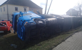 Kilka świń zginęło w wypadku na DK 11