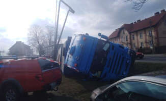Kilka świń zginęło w wypadku na DK 11