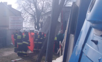 Kilka świń zginęło w wypadku na DK 11