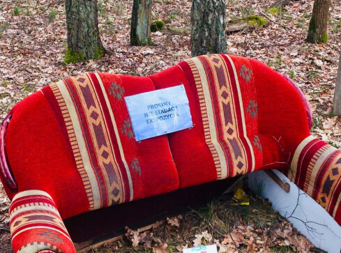 Ekspozycja mebli w środku lasu? - grafika