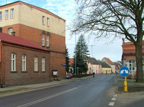 Wieleński dąb - Drzewem Roku? Trwa głosowanie - grafika