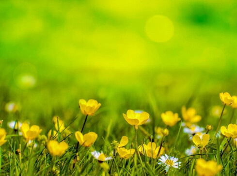 Wiosenna sobota w regionie - grafika